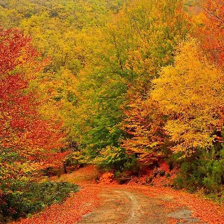 Camping Camping Riaza Riaza