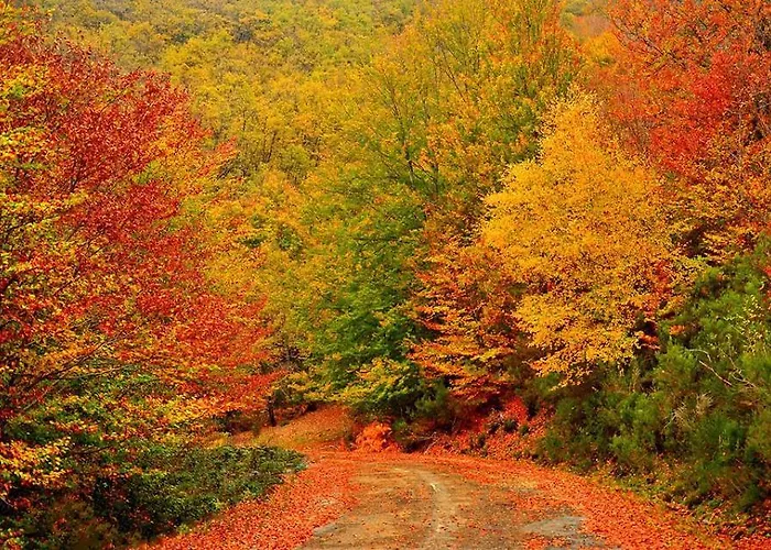 Parque de Campismo Camping Riaza Riaza